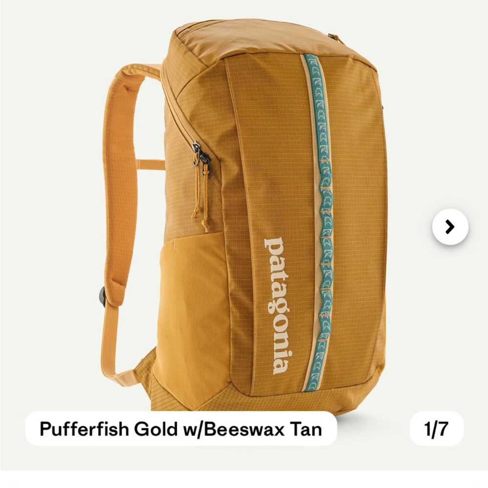 Patagonia Black Hole 25L Backpack in Pufferfish Gold and Beeswax Tan